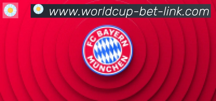 FIFA世界杯买球官方网站合作伙伴